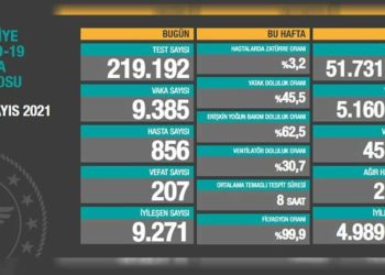 Türkiye'de Covid-19 nedeniyle son 24 saatte 207 kişi daha hayatını kaybetti