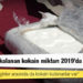 Türkiye'de yakalanan kokain miktarı 2019'da rekor kırdı: "Muhafazakar zenginler arasında da kokain kullananlar var"