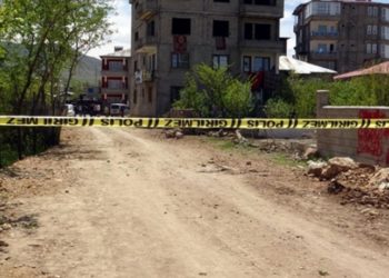 Van'da yol kenarında yakılmış ceset bulundu