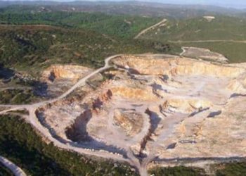 WWF yetkilisi: Türkiye’de doğal alan ve biyoçeşitlilik kaybındaki hız alarm verici