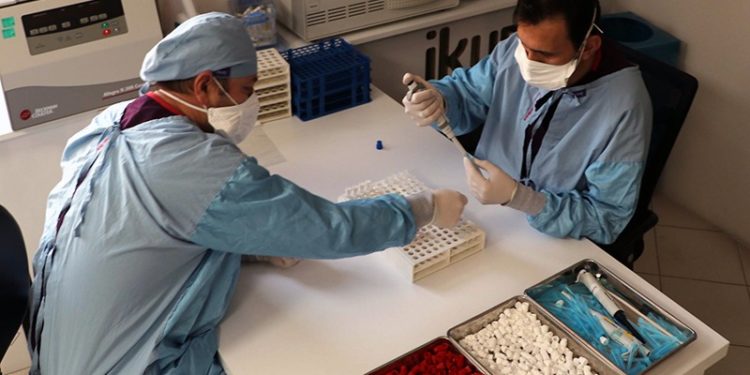 Yerli aşının Faz-3 aşamasında 'plasebo' yerine 'Sinovac' kullanılacak