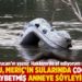 "...bunu, Meriç’in sularında çocuğunu kaybetmiş anneye söyleyin"
