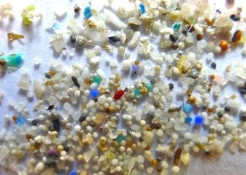 Çek ibrazından sonra Ticaret Bakanlığı’ndan kaos yaratan yeni karar: Hurda plastiğe toptan yasak