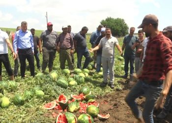 Çiftçi isyan etti: Yaktınız bizi, mahvettiniz!