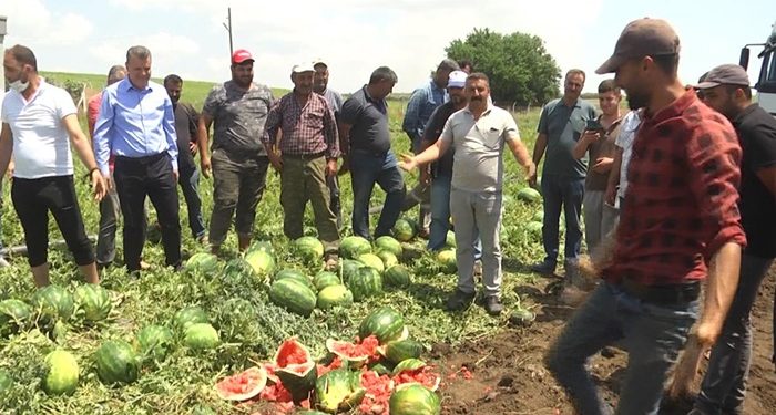 Çiftçi isyan etti: Yaktınız bizi, mahvettiniz!