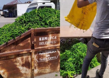 Çiftçinin sesini duyan yok; tonlarca ürün çöpe gidiyor