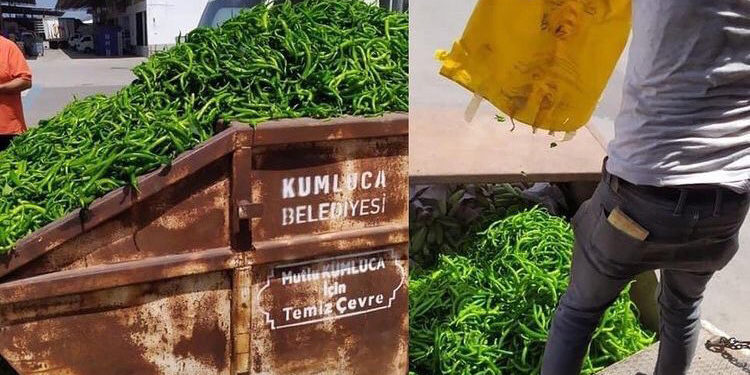 Çiftçinin sesini duyan yok; tonlarca ürün çöpe gidiyor
