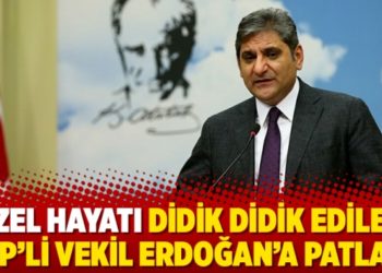 Özel hayatı didik didik edilen CHP’li vekil Erdoğan’a patladı