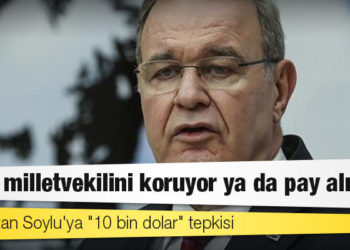 Öztrak'tan Soylu'ya "10 bin dolar" tepkisi: Ya o milletvekilini koruyor ya da pay alıyor