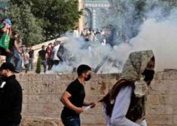 İHD ve TİHV: Gazze'ye yönelik saldırıları sonlandırın