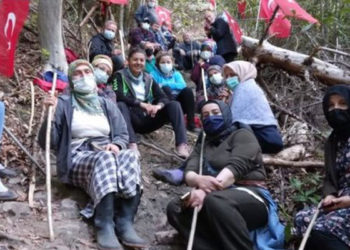 İkizdere'de taş ocağı protestoları: 62 ilin barosu köylülere destek verdi