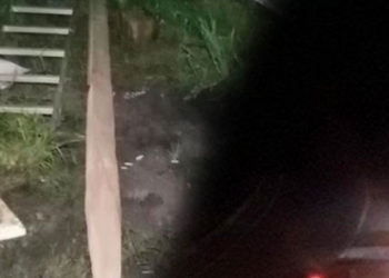 İkizdere’de taş ocağına karşı mücadele eden köylülerin çadırları jandarma tarafından toplandı