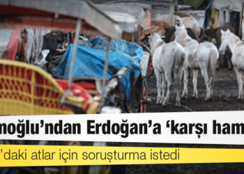 İmamoğlu’ndan Erdoğan’a ‘karşı hamle’: Adalar’daki atlar için soruşturma istedi