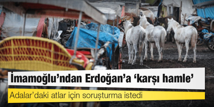İmamoğlu’ndan Erdoğan’a ‘karşı hamle’: Adalar’daki atlar için soruşturma istedi