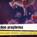 İngiltere'den araştırma: Pfizer ve AstraZeneca aşıları Hindistan varyantına karşı da etkili
