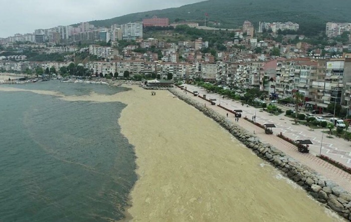 ‘Marmara deniz salyası sonrası ölü bir tuzlu su yatağına dönüştü’