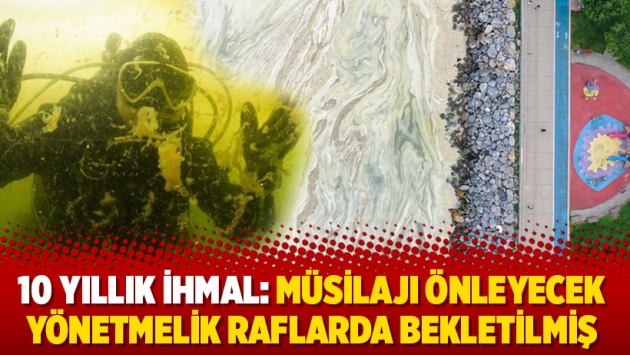 10 yıllık ihmal: Müsilajı önleyecek yönetmelik raflarda bekletilmiş