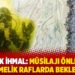 10 yıllık ihmal: Müsilajı önleyecek yönetmelik raflarda bekletilmiş