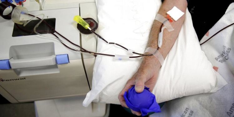 Almanya, eşcinsel ve biseksüel erkeklerin kan bağışı yapmalarına getirilen kısıtlamaları kaldırıyor