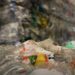 Sıfır plastik atık mücadelesinde Fransa örneği: Hedefler gerçekçi mi?