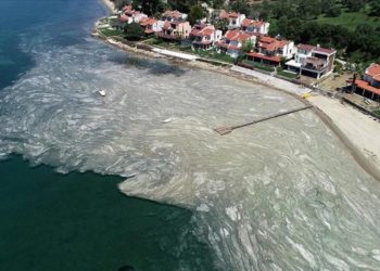 Bakan Kurum: Marmara’da görülen deniz salyası ‘müsilaj’ ile ilgili acil eylem planı hazırlıyoruz