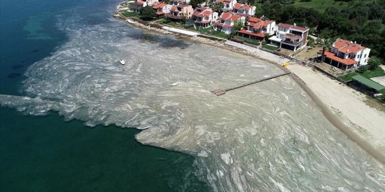 Bakan Kurum: Marmara’da görülen deniz salyası ‘müsilaj’ ile ilgili acil eylem planı hazırlıyoruz
