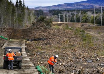 Araştırma | Sıcaklık kaynaklı ölümlerin yüzde 37’sine küresel ısınma sebep oldu