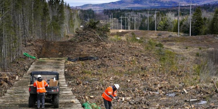Araştırma | Sıcaklık kaynaklı ölümlerin yüzde 37’sine küresel ısınma sebep oldu