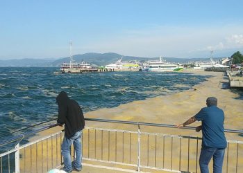 Müsilaj (deniz salyası) Marmara Denizi’nde balıkçılığı nasıl etkiler?