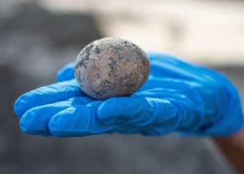 İsrailli arkeologlar, Abbasiler döneminden kalma bin yıllık yumurta buldu