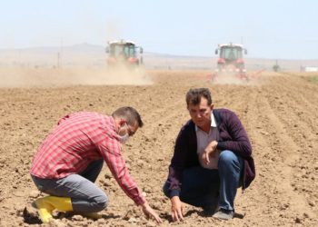 Türkiye’de işsizlik 0,9 puanlık artışla yüzde 13,9’a yükseldi