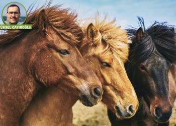 21. Yazı: Evrim teorisi hakkında son sözler