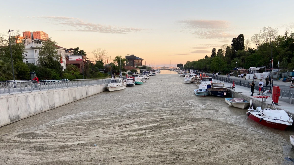 7 Soruda Deniz Salyası Felaketi: ‘‘Marmara Ölüyor’’ 