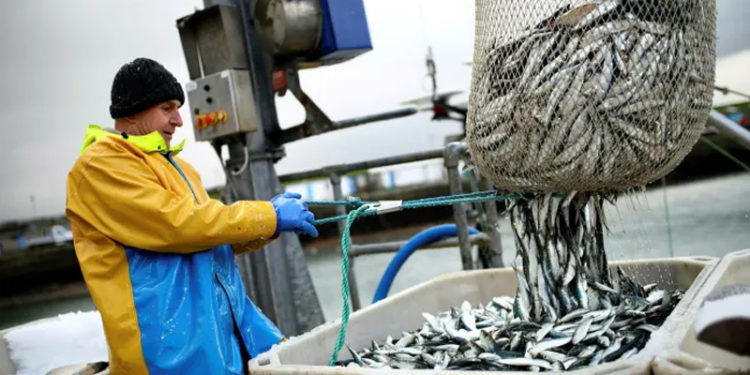 AB ve İngiltere balıkçılık kotalarında anlaştı