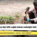 Afrika'da 1,2 milyar kişi kötü sağlık bakımı nedeniyle risk altında yaşıyor