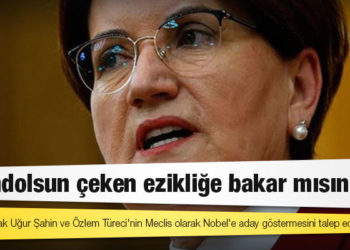 Akşener'den Biden görüşmesi yorumu: İşte size Sayın Erdoğan'ın bipolar dış politika anlayışının son örneği