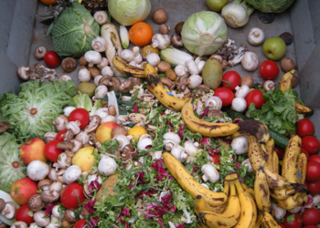 Araştırma: Restoranlarda sebzelerin yüzde 68'i çöpe gidiyor