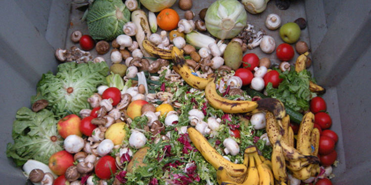 Araştırma: Restoranlarda sebzelerin yüzde 68'i çöpe gidiyor