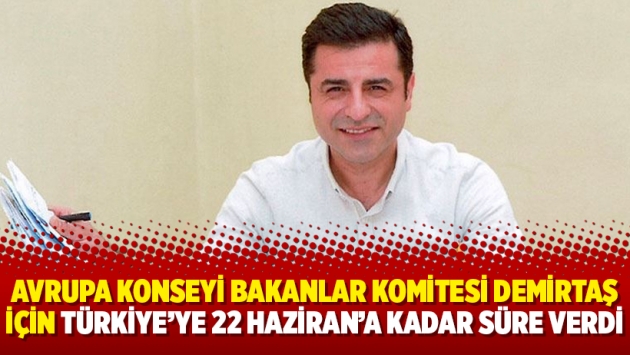 Avrupa Konseyi Bakanlar Komitesi Demirtaş için Türkiye'ye 22 Haziran'a kadar süre verdi