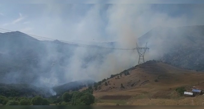 Bölgedeki orman yangınları için araştırma talebi