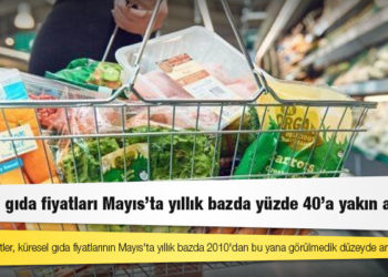 BM: Küresel gıda fiyatları Mayıs'ta yıllık bazda yüzde 40'a yakın arttı, bu son 11 yılın en yüksek artışı