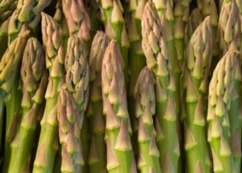 Bel&ccedil;ika'da Resmi Gazete'de yanlışlıkla kuşkonmaz tarifi yayınlandı