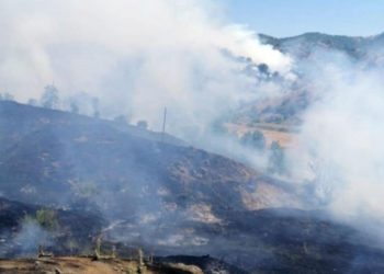 "Bing&ouml;l&rsquo;de yanacak bir şey kalmadı"