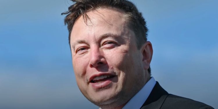Bitcoin yatırımcıları ve Anonymous Musk'a öfkeli: "Birçok hayatı mahvettiğini görüyoruz"