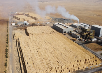 Borsaya bir enerji şirketi daha geliyor; Consus Enerji halka arz için Sermaye Piyasası Kurulu'na başvurdu