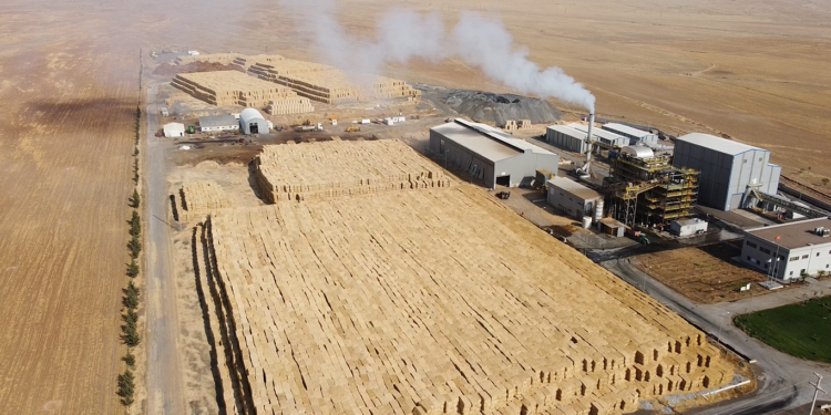 Borsaya bir enerji şirketi daha geliyor; Consus Enerji halka arz için Sermaye Piyasası Kurulu'na başvurdu