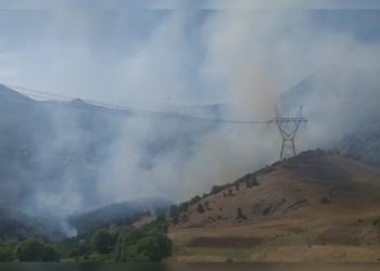 Bölgedeki orman yangınları için araştırma talebi