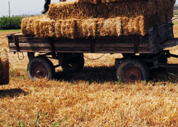 CHP'li Gürer, tarımdaki kuraklığa dikkat çekti: Samanda yeniden ithalata gidilebilir