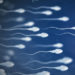 Coronavirus aşısı sperm sayısını etkilemiyor