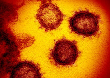 Delta mutasyonu Ukrayna’ya sıçradı